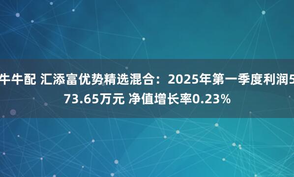牛牛配 汇添富优势精选混合：2025年第一季度利润573.65万元 净值增长率0.23%