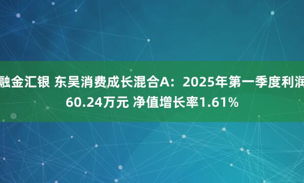 融金汇银 东吴消费成长混合A：2025年第一季度利润60.24万元 净值增长率1.61%
