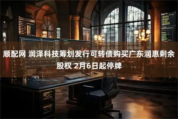 顺配网 润泽科技筹划发行可转债购买广东润惠剩余股权 2月6日起停牌